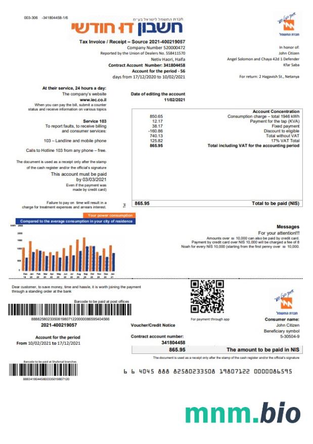 Izrael Electric Corporation rachunek za media szablon w formacie Word i PDF, w języku angielskim